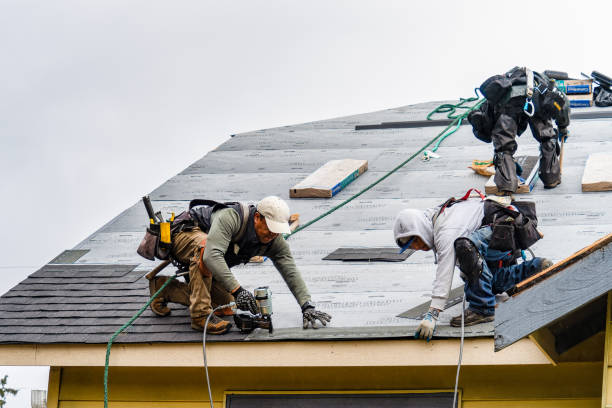 Professional Roofing technician working in Preston, IA